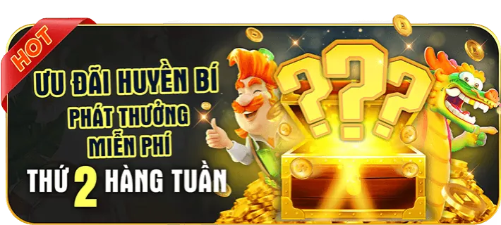 Phân tích phúc lợi độc quyền cho người dùng mới MCW19